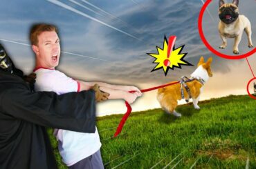 CLOAKER & Hacker Dog Control My Life for 24 Hours and Find Spy Ninjas Douglas