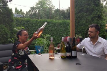 French Summer Wine Picks