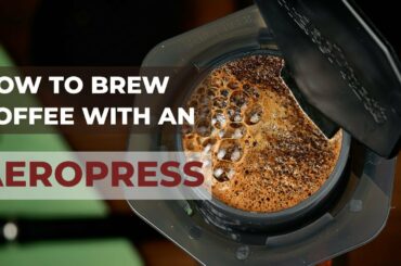 HOW TO BREW COFFEE WITH AN AEROPRESS: Two Coffees, One Recipe