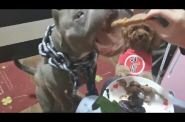 For the sake of the friendship between the gourmet sisters and brothers, the boat is turned over.