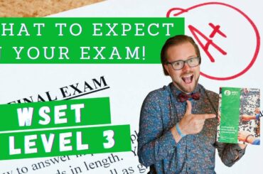 WSET Level 3 What to Expect in your Theory Exam!