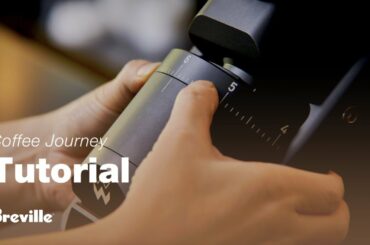 Coffee Tutorials | Coffee grinders and how they work | Breville USA