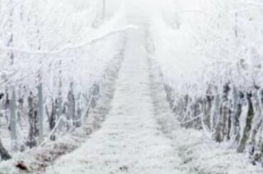 The Mysterious Deadly Frost Of 1709 That Killed Thousands