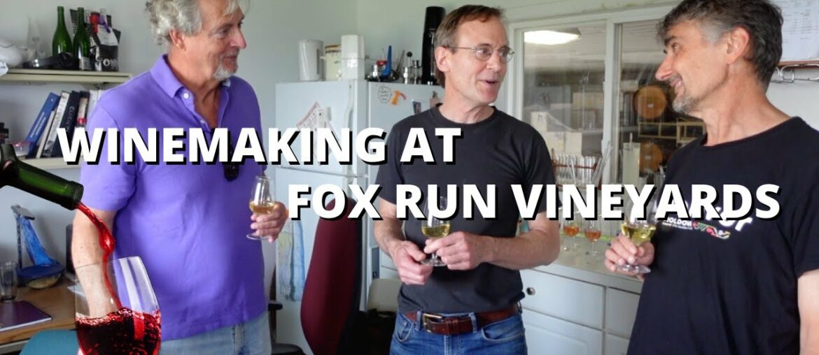 chitchat with wine professionals (MW trips, minerality, interventionist practices)