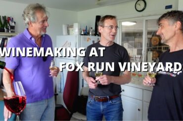 chitchat with wine professionals (MW trips, minerality, interventionist practices)