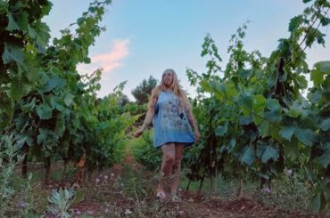 Camping in French vineyards and traveling through France - solo female vanlife vlog