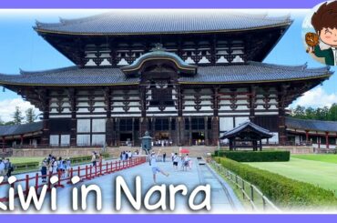 Episodes from Nara (Starbucks, French Dining, Olympics, Anime shopping) [Kiwi In Japan 138]