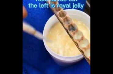 Top 10 Mouth Watering Food in the World You Have Ever Seen | Tasty & Spicy Foods | #Foodie (4)