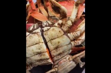 Top 10 Mouth Watering Food in the World You Have Ever Seen | Tasty & Spicy Foods | #Foodie(1)