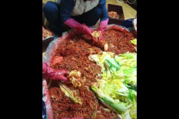 Top 10 Mouth Watering Food in the World You Have Ever Seen | Tasty & Spicy Foods | #Foodie (5)