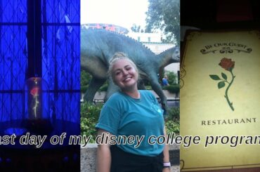Be Our Guest Dinner & Animal Kingdom | DISNEY COLLEGE PROGRAM VLOG