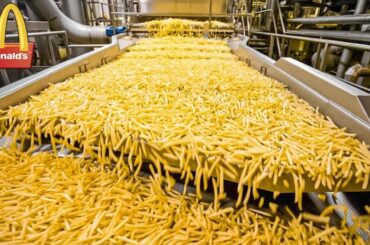 HOW MCDONALD’S FRENCH FRIES ARE MADE  FOOD PRODUCTION