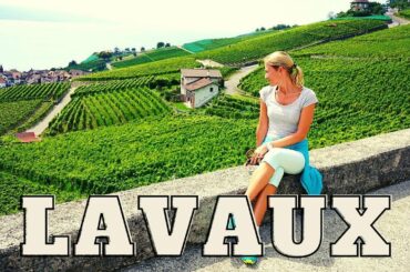 Lavaux Vineyard Terraces - French Switzerland - Lake Geneva