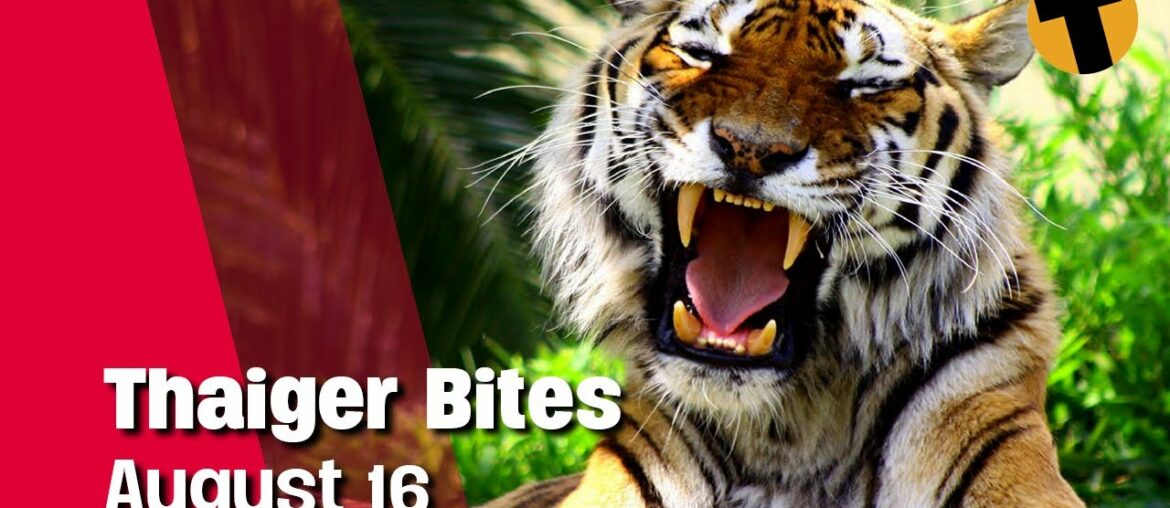 Thaiger Bites | Your comments and Feedback | August 16
