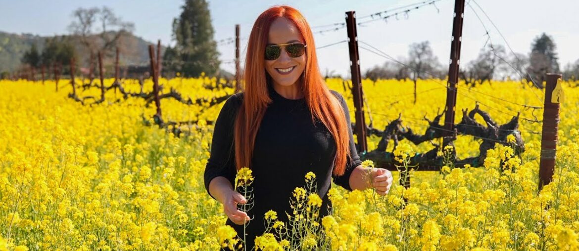 Searching for Maximum Flavor: Napa, California Searching for Maximum Flavor: Napa, California