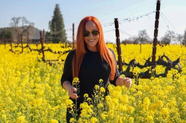 Searching for Maximum Flavor: Napa, California