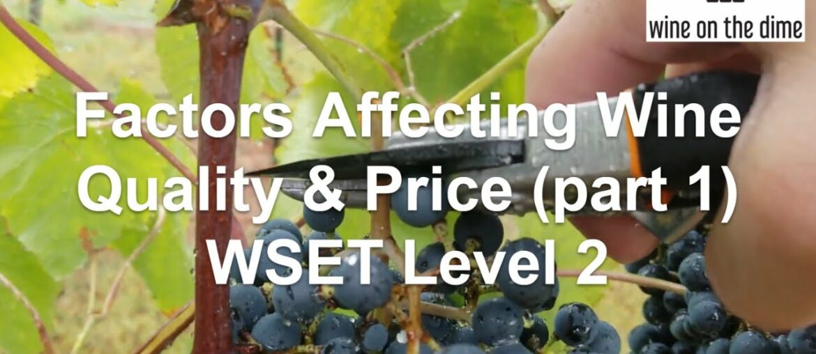 WSET Quiz 3: Factors Affecting Wine Quality and Price (part 1) WSET Quiz 3: Factors Affecting Wine Quality and Price (part 1)