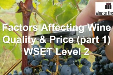 WSET Quiz 3:  Factors Affecting Wine Quality and Price (part 1)