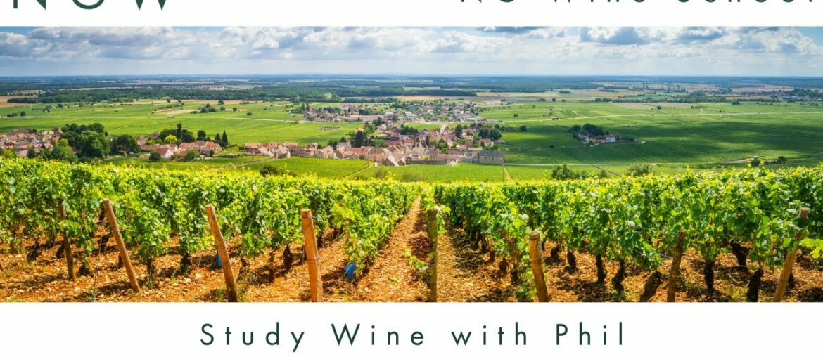 NG Wine School – S2 E11 – Burgundy NG Wine School - S2 E11 - Burgundy