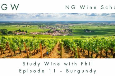 NG Wine School - S2 E11 - Burgundy
