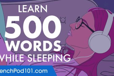 French Conversation: Learn while you Sleep with 500 words