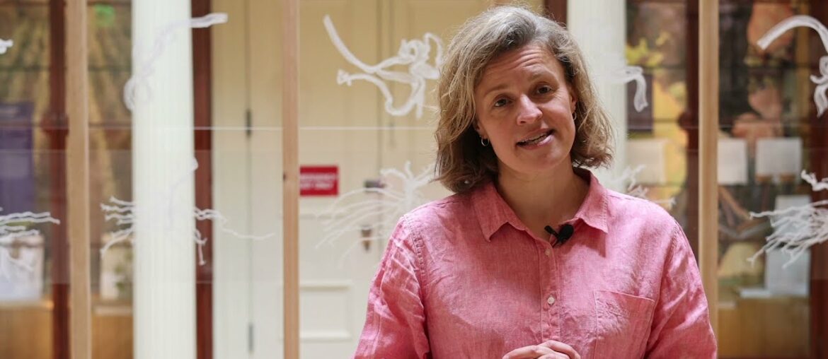 Spotlight Series: Grafting the Grape