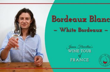 White Bordeaux Wine (Bordeaux Blanc) | James Flewellen's Wine Tour of France | Episode 2