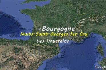 Nuits-Saint-Georges 1er Cru Les Vaucrains  | French wine map | Wine study