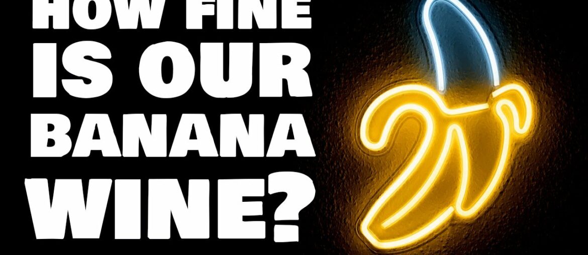 How Fine is our Banana Wine?  One Year Taste Test!