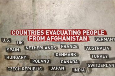 Drinks are on who? | Germany criticized for evacuating beer and wine before people