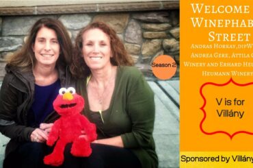 Exploring the Wine Glass' Allure of the Pour