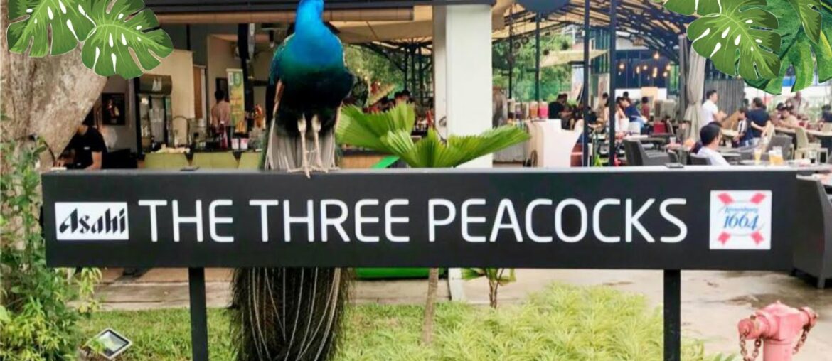 The Three Peacocks Singapore 2021 | Affordable BBQ Buffet in Singapore