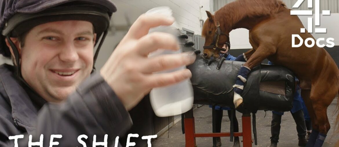 I W*** Horses For a Living | The Shift