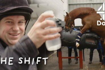I W*** Horses For a Living | The Shift