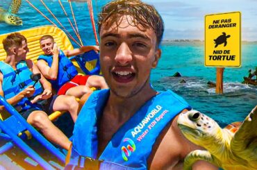 On va nager avec les tortues au Mexique (ou pas mdrr)