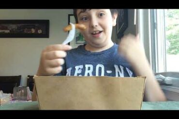 Food review episode 4: ziggys French fry’s!