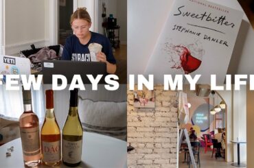 FEW DAYS IN MY LIFE: Trader Joe's Wine Store, New Book, Hurricane Day & More! | Hannah Grace