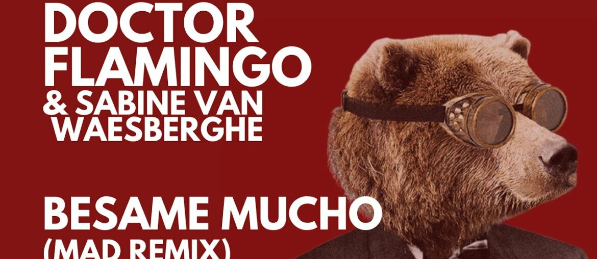DOCTOR FLAMINGO     BESAME MUCHO  (MAD REMIX) FRENCH VERSION