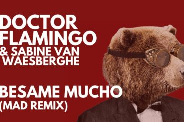 DOCTOR FLAMINGO     BESAME MUCHO  (MAD REMIX) FRENCH VERSION