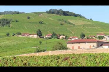 Beaujolais Wine Country