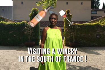 Visiting a winery in the south of France