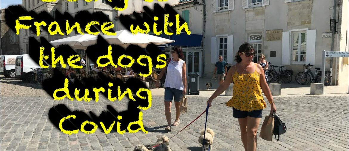 Travelling to France in a motorhome with dogs - what you need to know to get there & back in covid