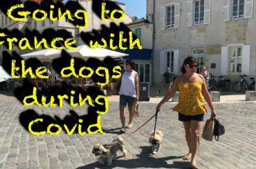 Travelling to France in a motorhome with dogs - what you need to know to get there & back in covid