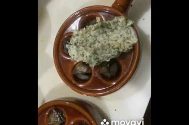 Escargot perfect for romantic dinner with a glass of white wine