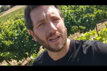 Heller from Rhone, France