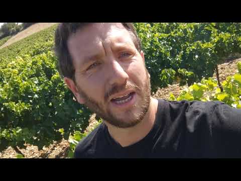 Heller from Rhone, France Heller from Rhone, France