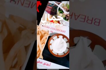 Delicious Arab Food Breakfast cisar salad, French fries and garlic sauce yummy food street food