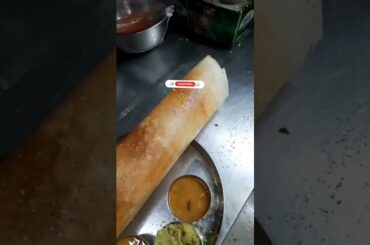 Biggest Dosa Making   4 Feet long Dosa   Chutneys Dosa   Masala Dosa #Shorts #Youtubeshorts #Dosa