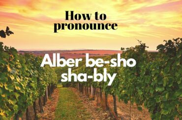 Albert Bichot Chablis- One of most successful commercial Chardonnay from Chablis, France