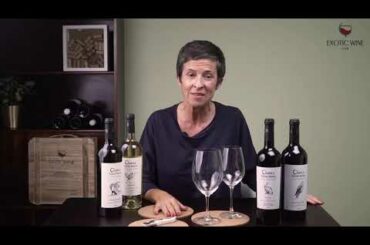 Wines of Portugal - Teaser